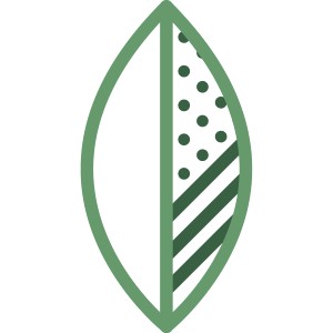 BuchuVida, LLC logo