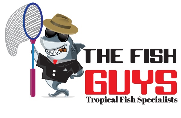 The Fish Guys logo